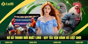 Đá Gà Thomo Mới Nhất
