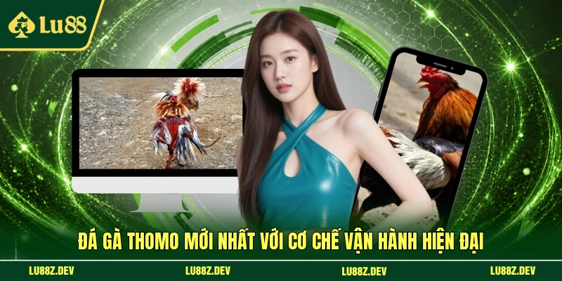 Đá gà Thomo mới nhất với cơ chế vận hành hiện đại