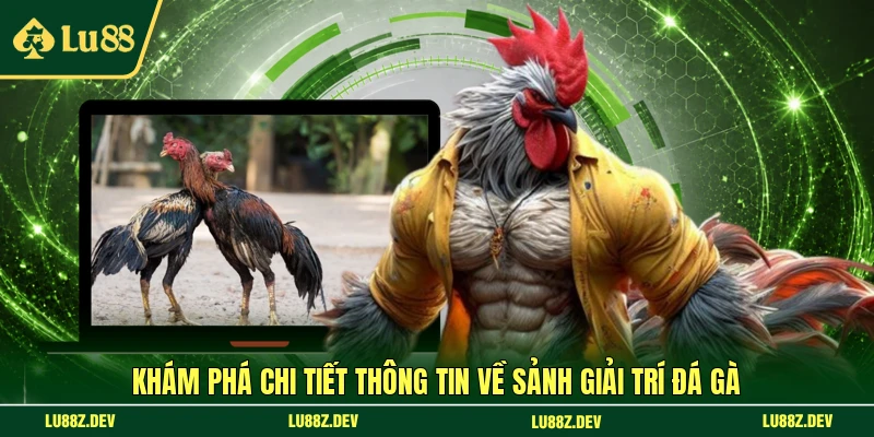Khám phá chi tiết thông tin về sảnh giải trí đá gà