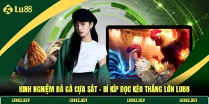 Kinh Nghiệm Đá Gà Cựa Sắt
