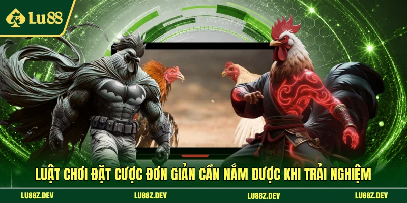 Luật chơi đặt cược đơn giản cần nắm được khi trải nghiệm