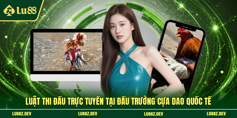 Luật thi đấu trực tuyến tại đấu trường cựa dao quốc tế