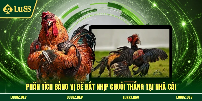 Phân tích bảng vị để bắt nhịp chuỗi thắng tại nhà cái