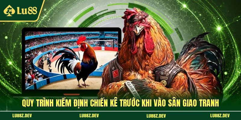 Quy trình kiểm định chiến kê trước khi vào sân giao tranh
