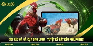 Soi Kèo Đá Gà Cựa Dao