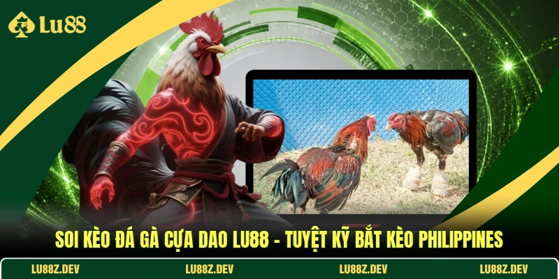Soi Kèo Đá Gà Cựa Dao